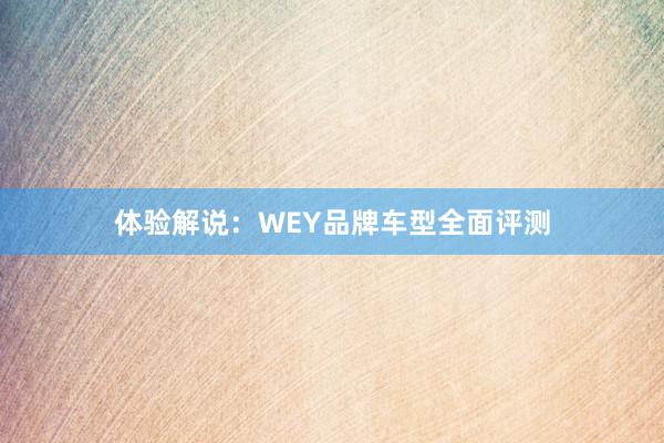 体验解说：WEY品牌车型全面评测